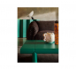 Zanotta_tavolinoZavolo790_IG06-verde_web(3) thumbnail